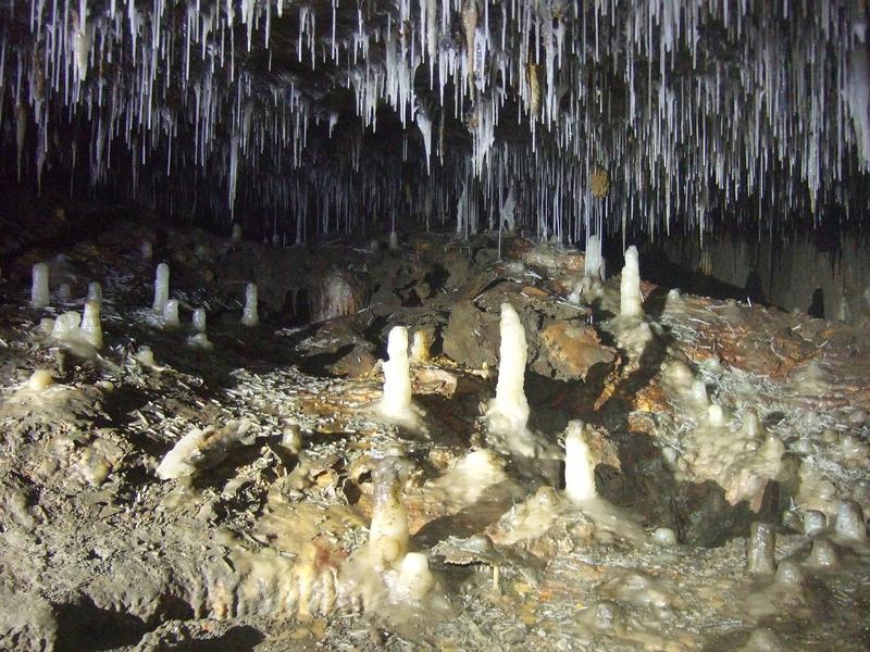 Thumbnail of photo from this article